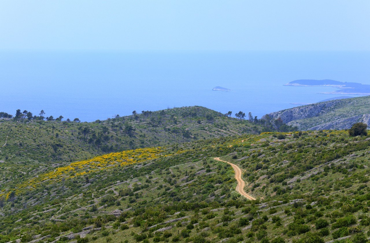 Hvar Island 